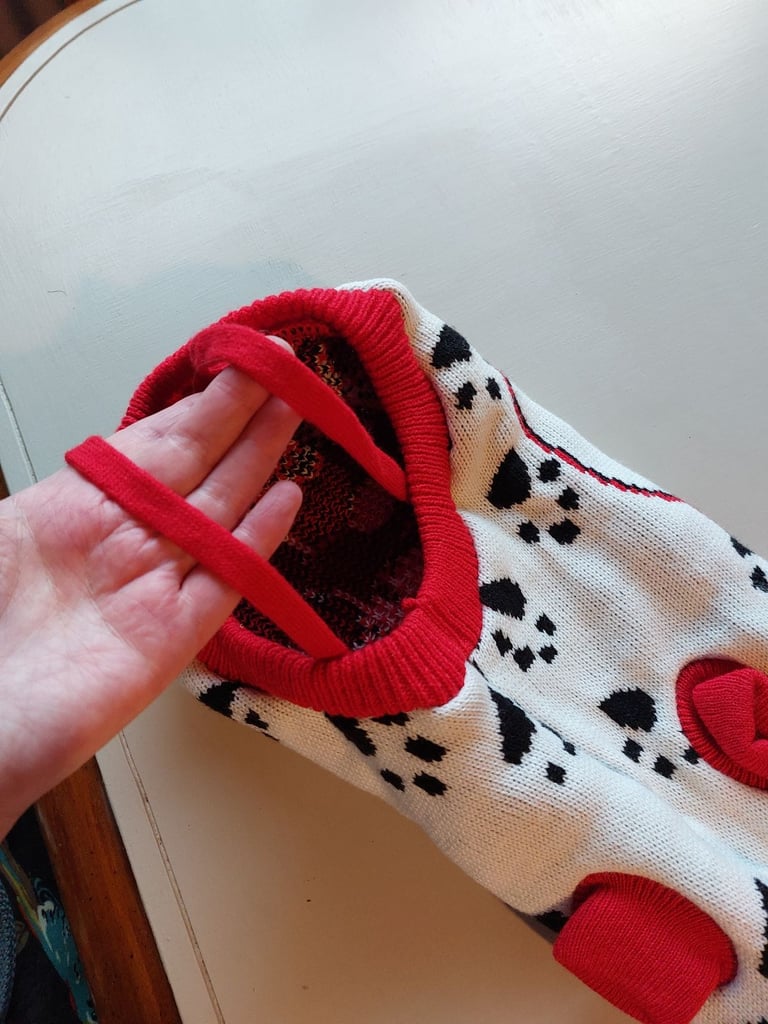 Dog Christmas jumper, medium