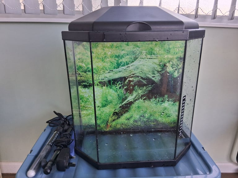 Small aquarium 