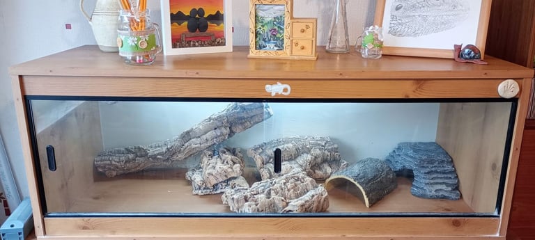 4 ft reptile vivarium and accessories