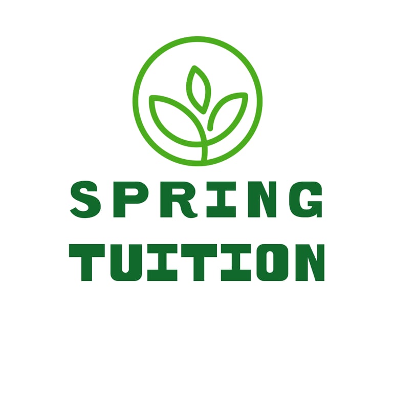 11+ Tuition