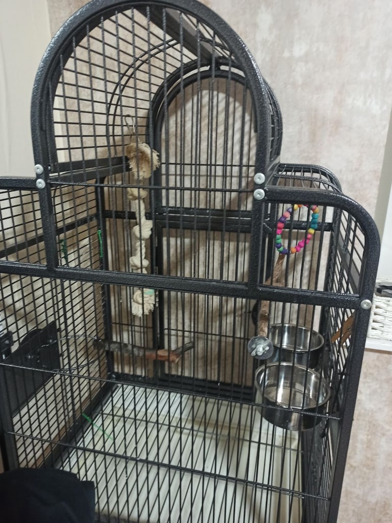 Rainforest Santa Fe Top Opening Parrot Cage with stand