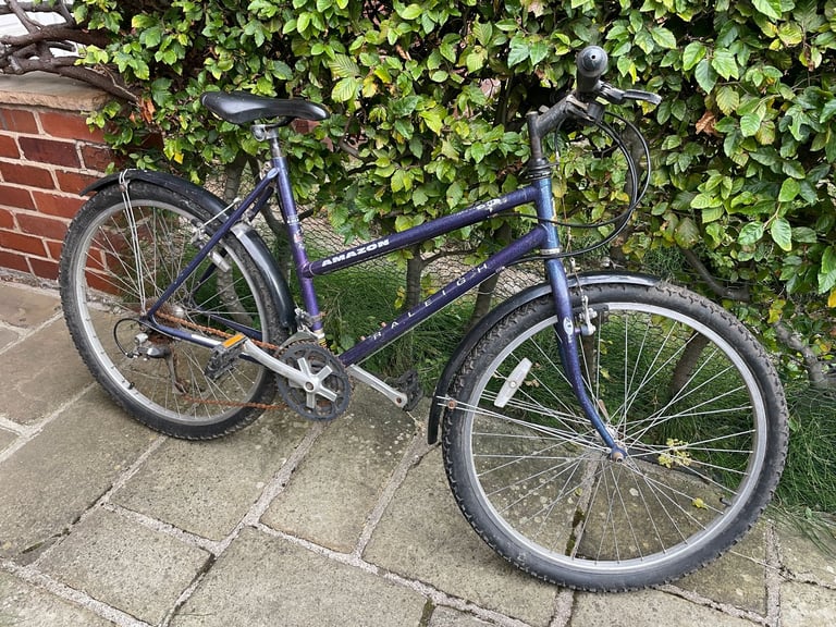 image for Raleigh Amazon bike