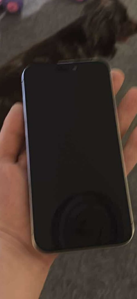 IPHONE 15 PRO MAX (SPARES AND REPAIR)