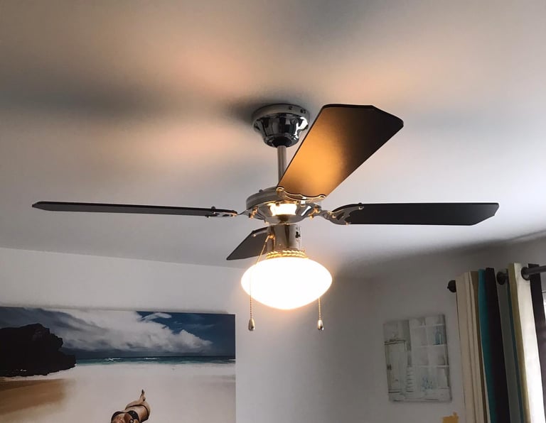Ceiling fan light