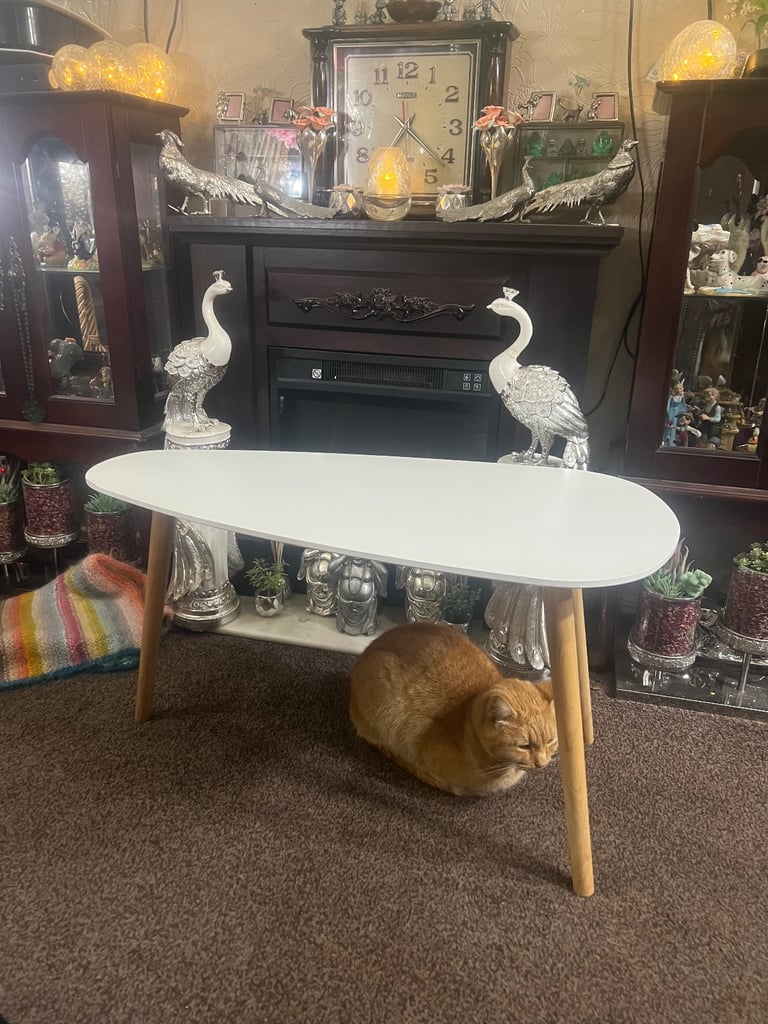 Modern style coffee table