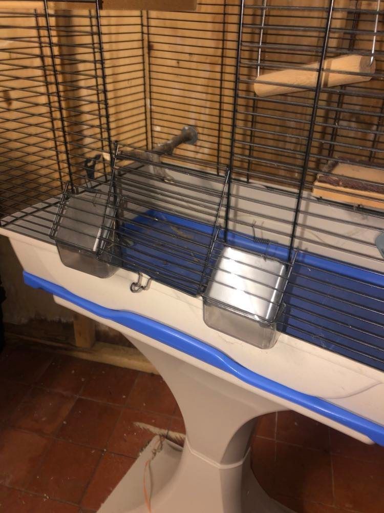 Large Bird Cage, Stand & Accessories