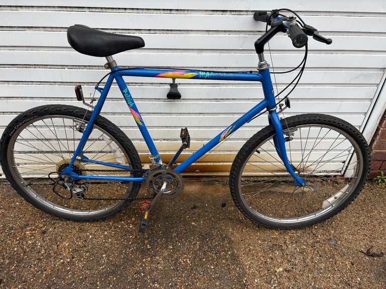 MAN OR LADIES BIKE RALEIGH  RETRO 5X3 gears 26in wheels 23in frame serviced £80