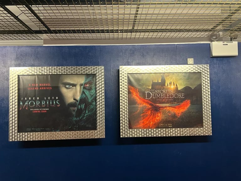 Poster cases