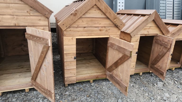 Timber dog kennels with tin roof 