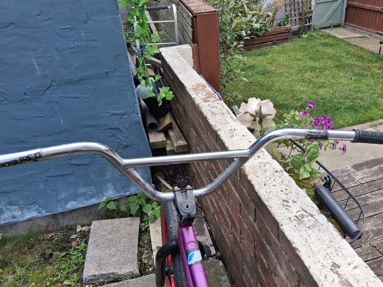 HARO CUSTOM BMX READ 