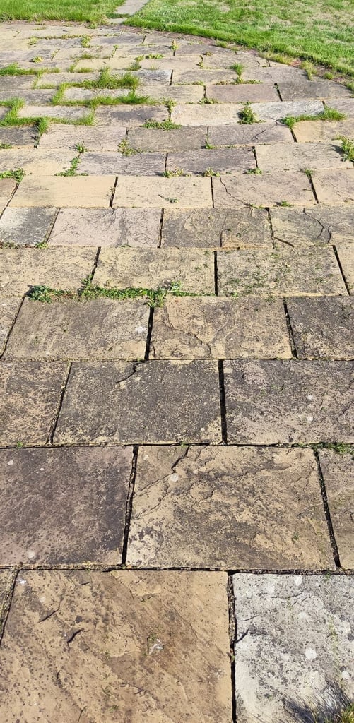 Indian Sandstone Paving Slabs - 80 m2