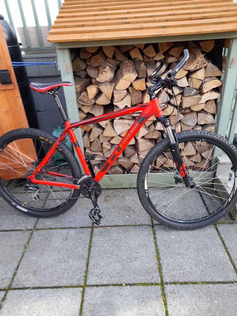 29 MTB