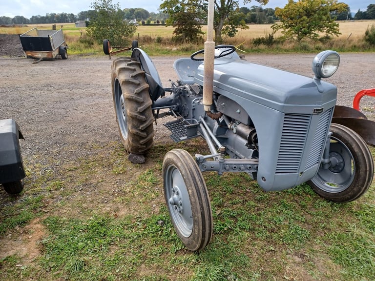 Ferguson TE20