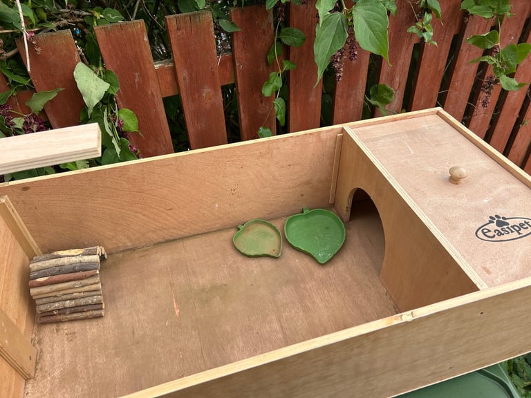 Tortoise table 