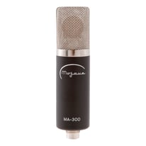 Are you a singer with songs ready to record?