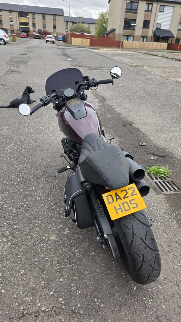 Harley-Davidson, SPORTSTER S, 2022, 1252 (cc)