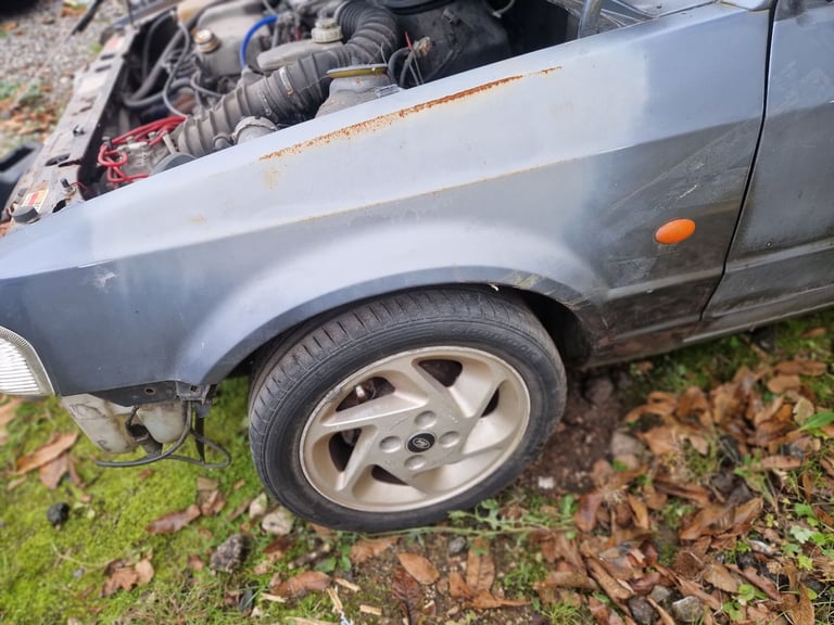 Escort xr3i project 
