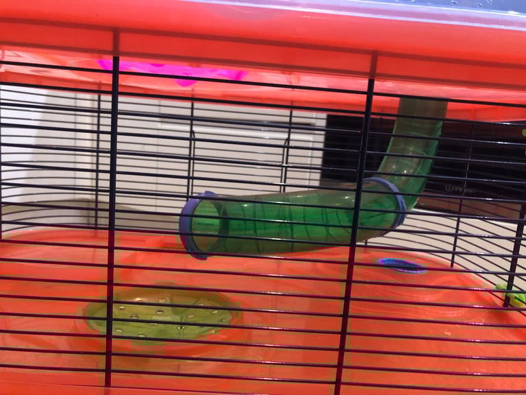 Hamster cage
