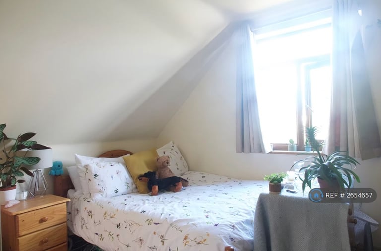 7 bedroom house in De Hague Road, Norwich, NR4 (7 bed) (#2654657)
