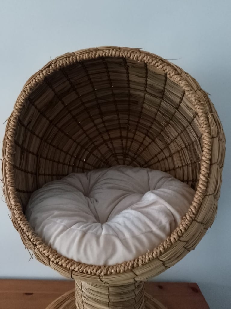 Wicker elevated Cat bed with cushion 