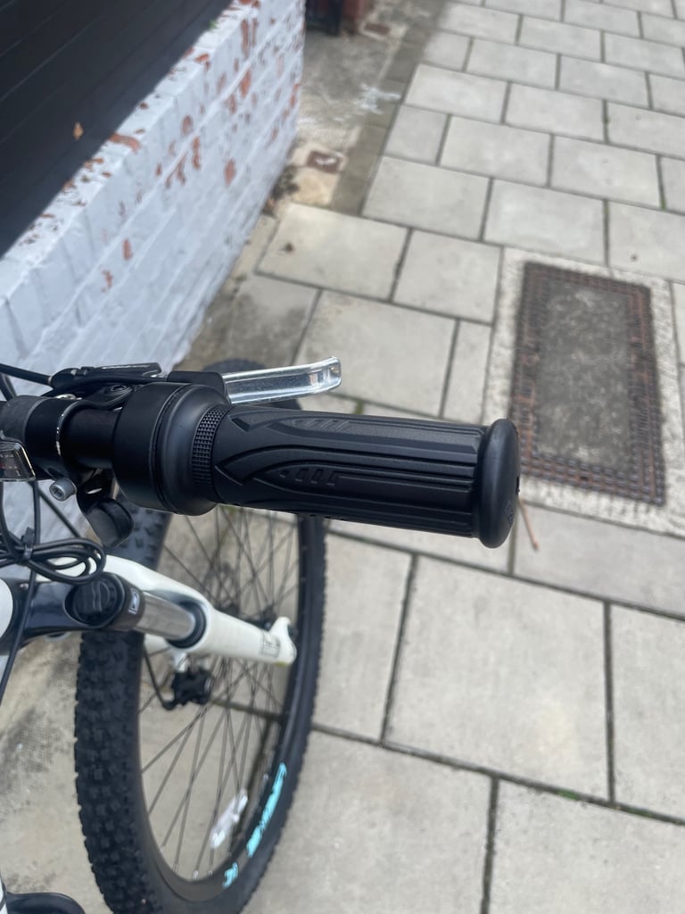Electric Bike