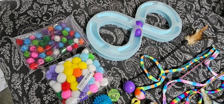 Extra Large Bundle Of Cat/Kitten Toys 