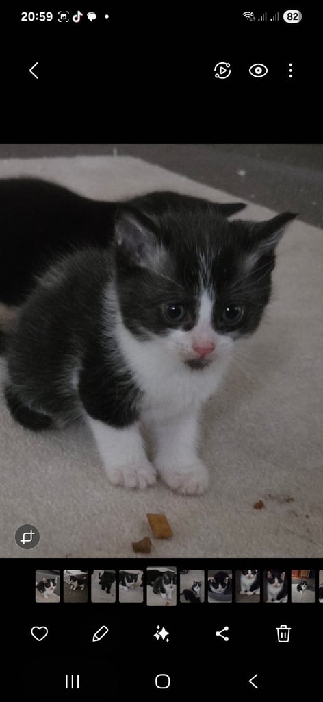 image for 3 lovely babies