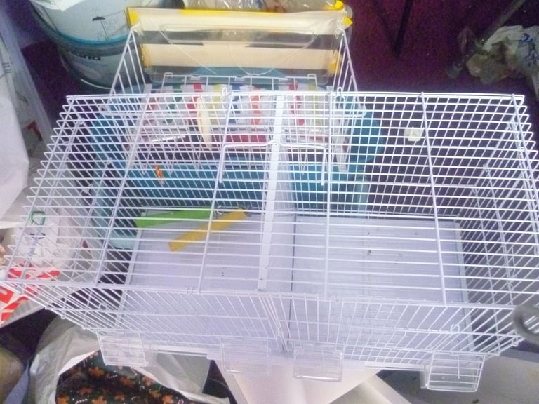 5 Canary Canaries Birds for sale for £140 Yellow, White/Black  Red Pure White Small Cage and Food