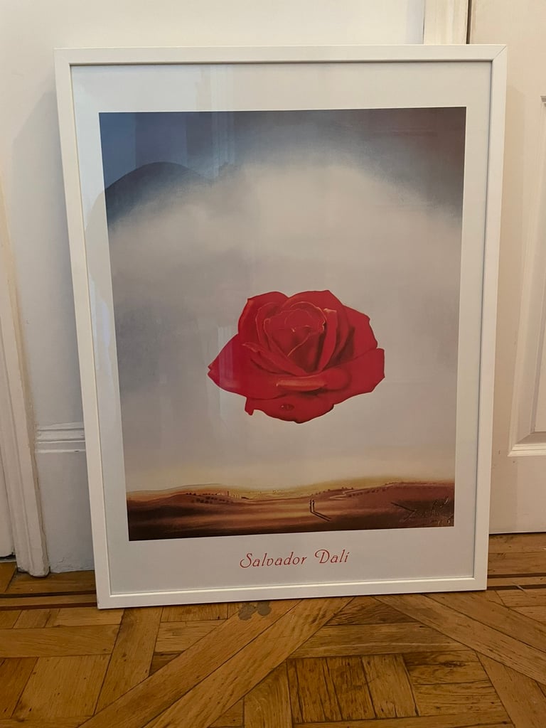 Framed Dali Poster - The Meditative Rose 