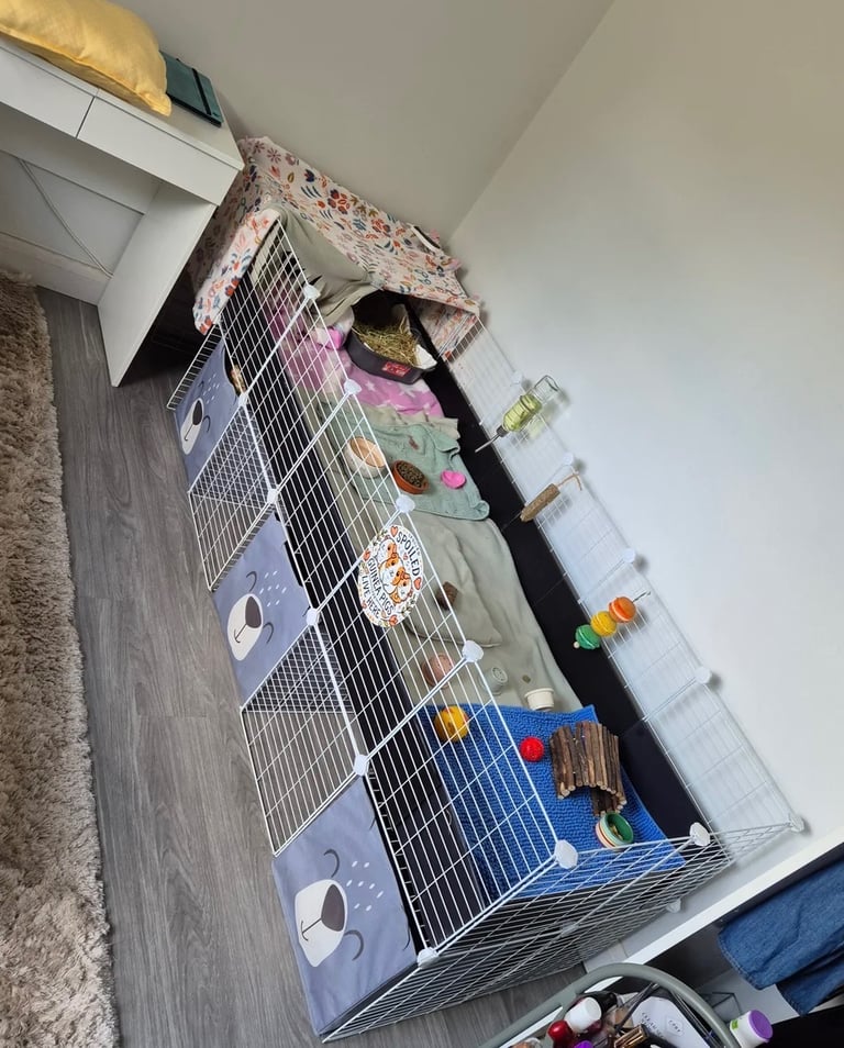 6+4 C&C cage and accessories 