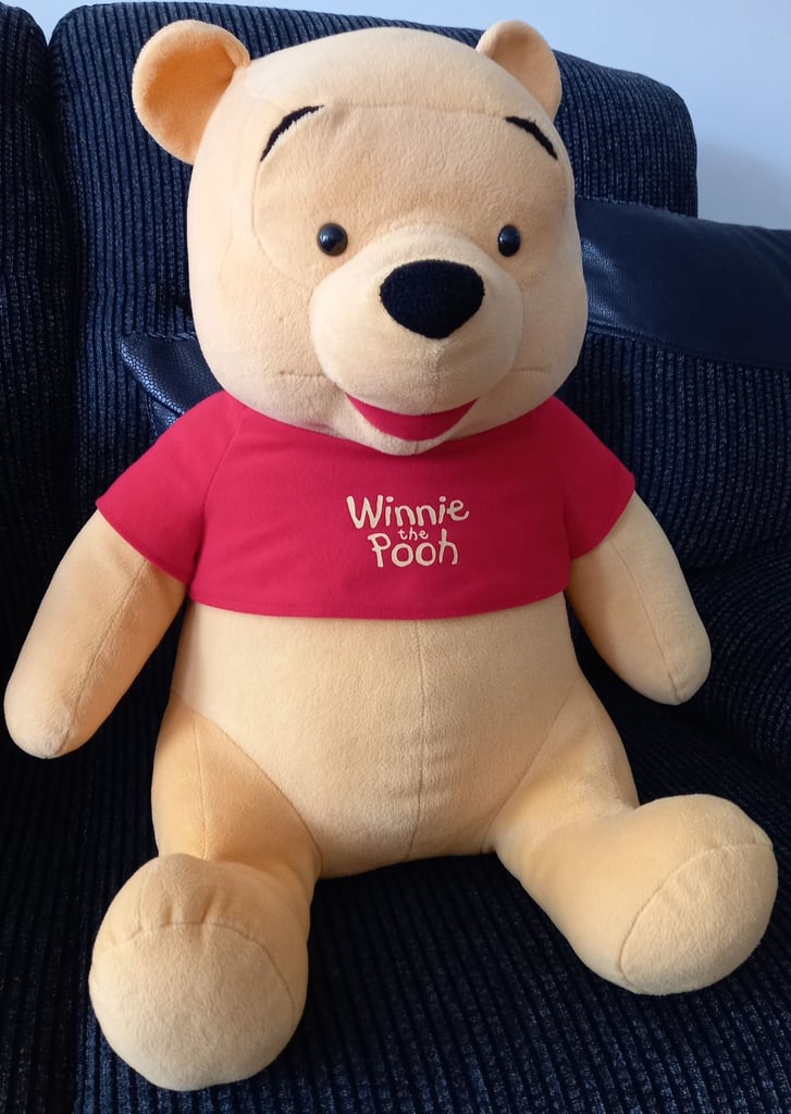 Winnie the pooh soft toys
