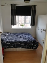 image for Room to let in friendly   Flat