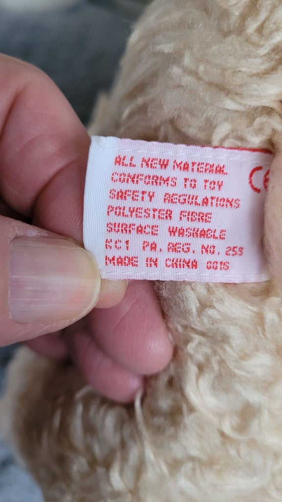image for Gorgeous Teddy Bear