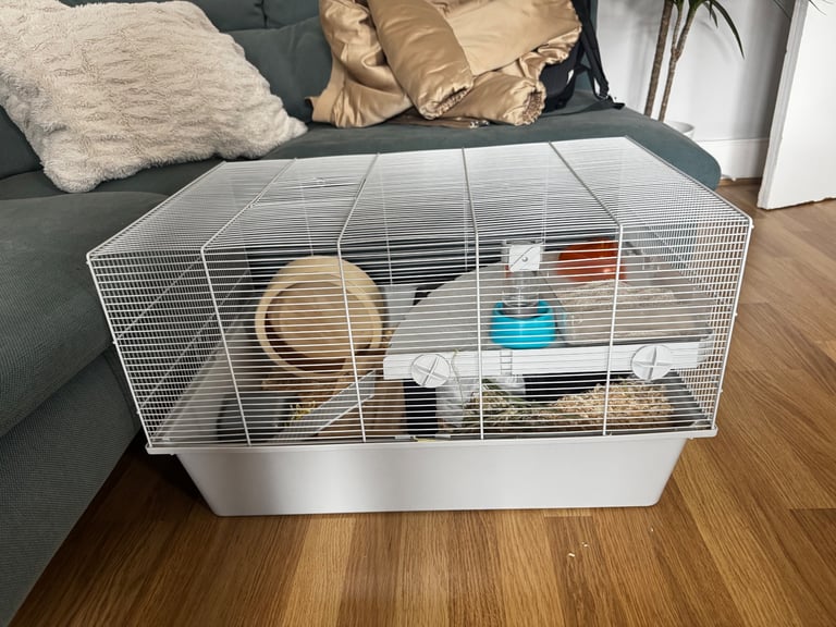 Complete Syrian Hamster Set 