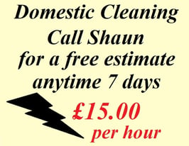 DOMESTIC CLEANING / CLEANERS / CLEANING SERVICE / SPRING CLEANING