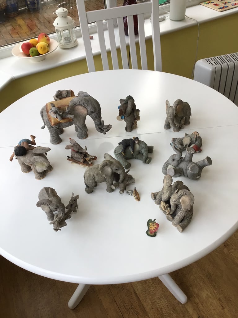 Tuskers elephants 