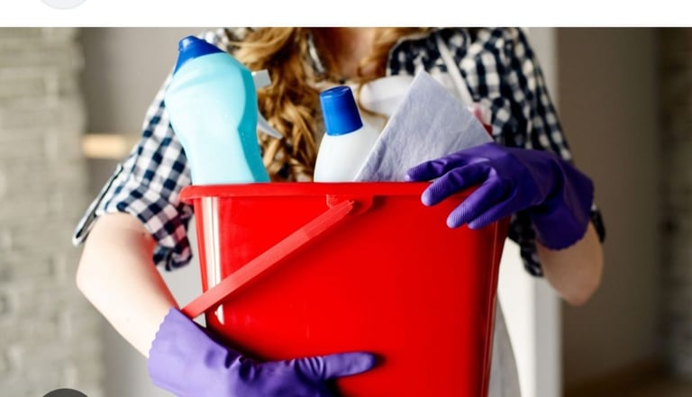 image for Domestic Cleaning/ Childcare/ Companionship in Cambridge/ Cambridgeshire 