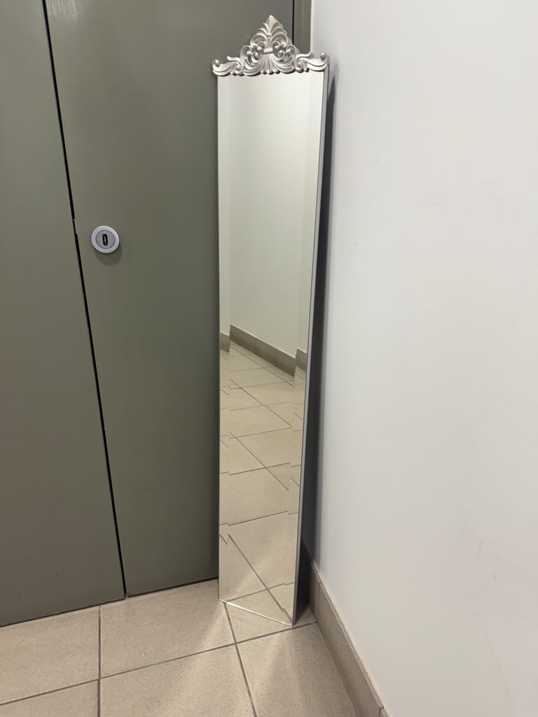 Brand new Dunelm slim tall mirror frame