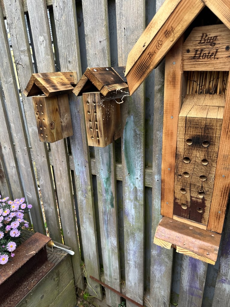 Bee & Bug Hotels 