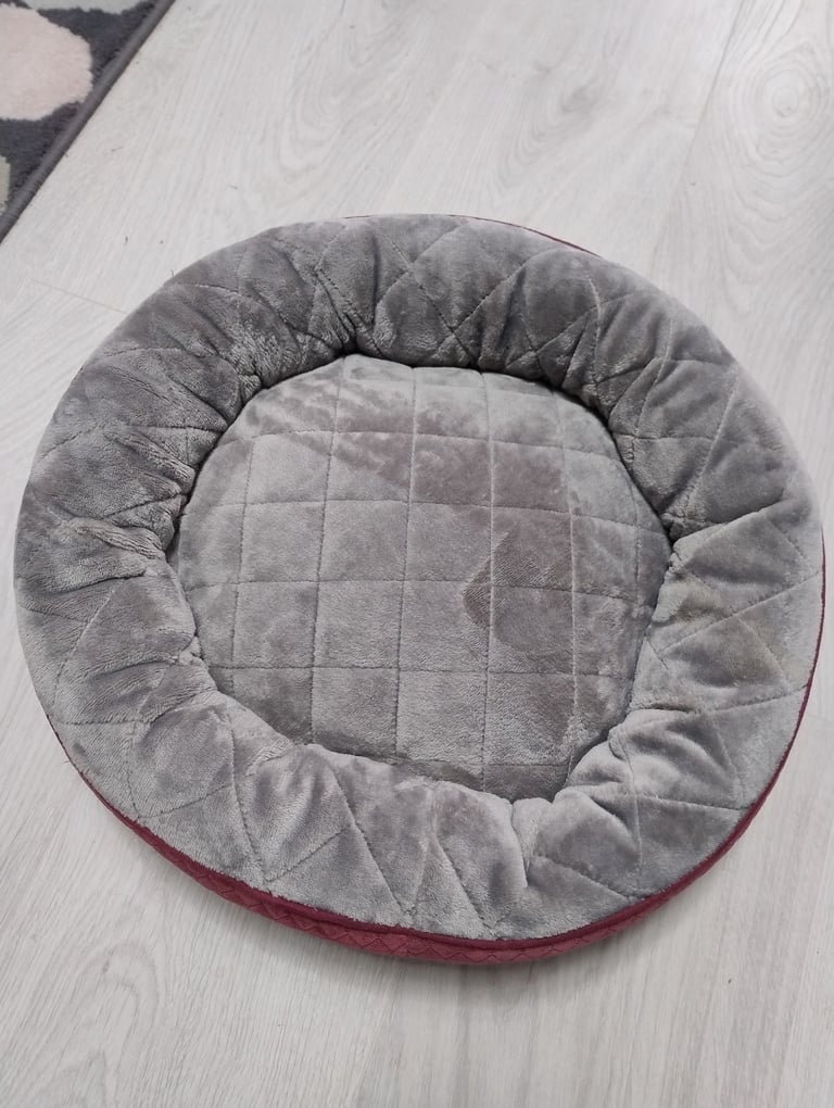 Cat Bed