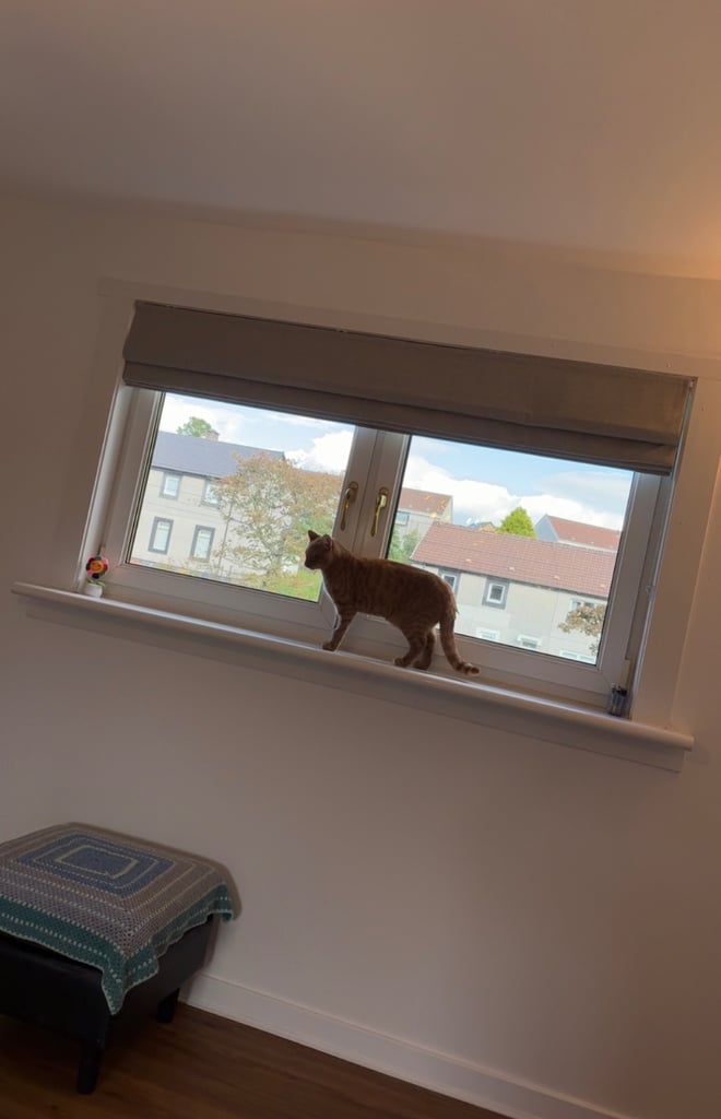 image for Roman blinds - blackout 
