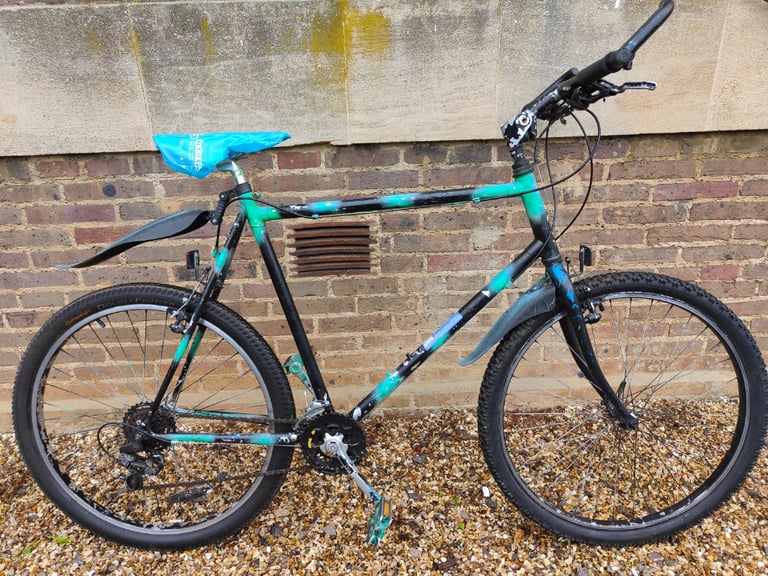 Green discount raleigh bike