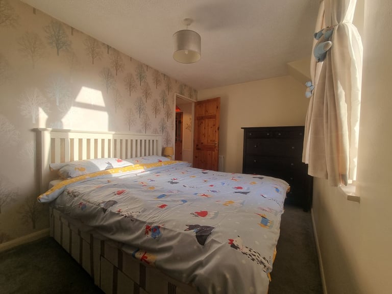 Spacious, West End 2 bedroom Flat on Beautiful Tree Line Street.