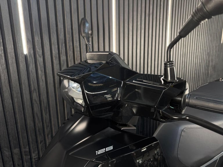 2025 Peugeot Tweet 125 125 CVT Euro 5