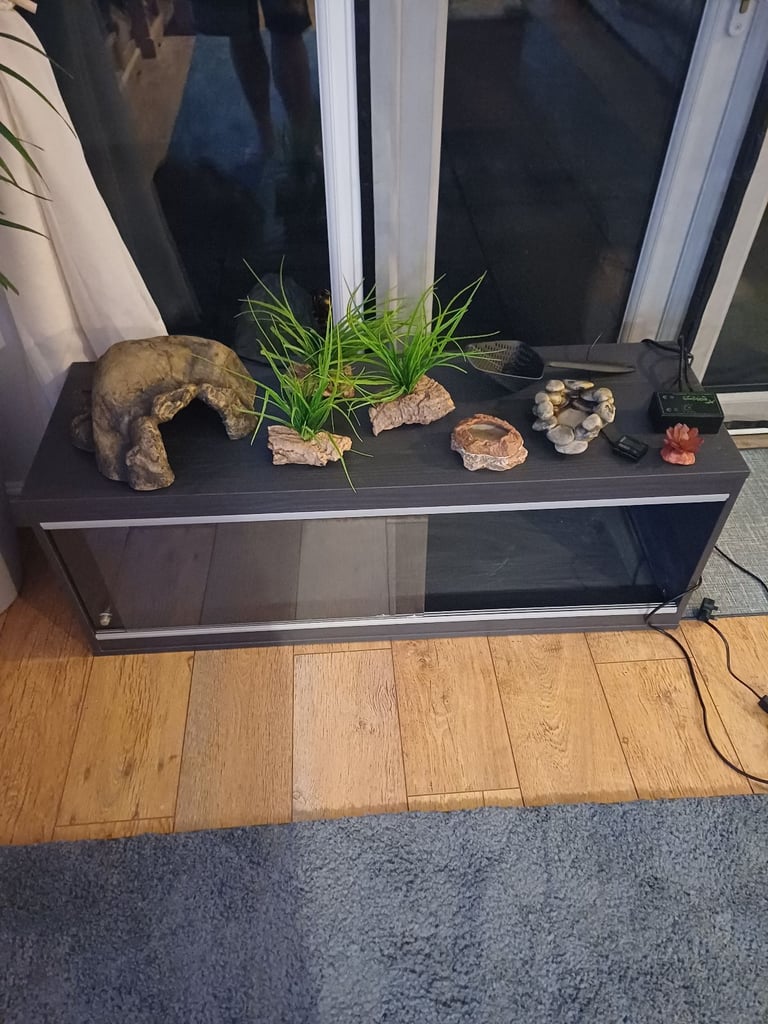 4ft vivarium 
