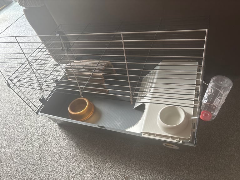 Large indoor Animal cage 