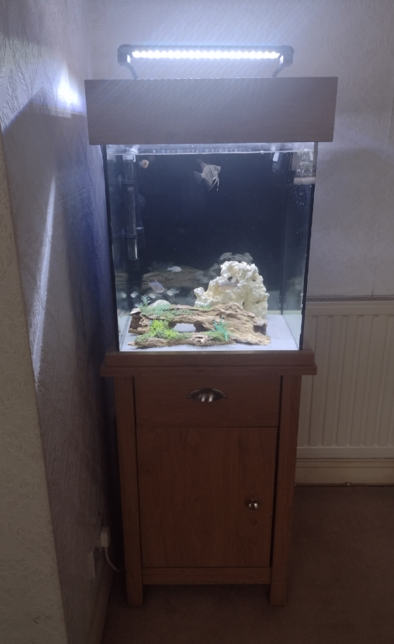 image for Full Tropical Setup Aquarium - Fish Tank (85 Litre)