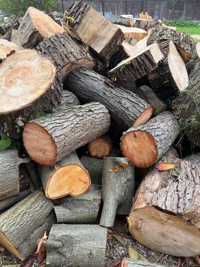image for Tree cutting and removal and hedges cutting 