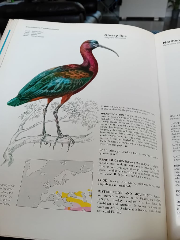 Set of five bird encyclopedia 