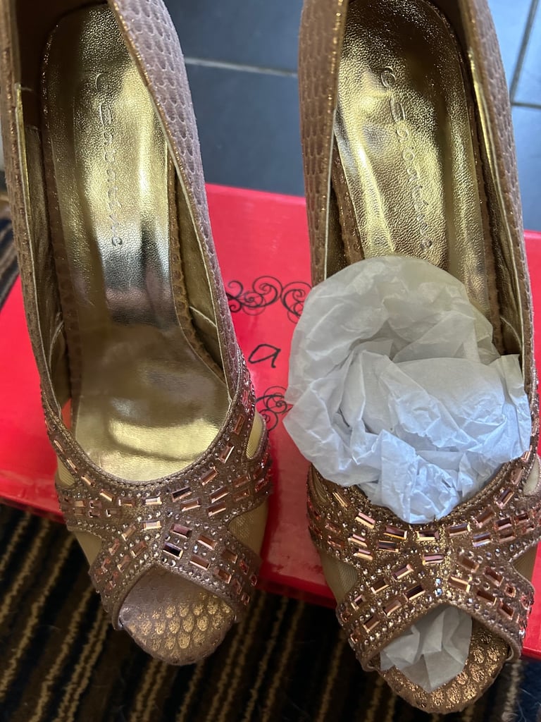 Ladies bronze fashion shoes